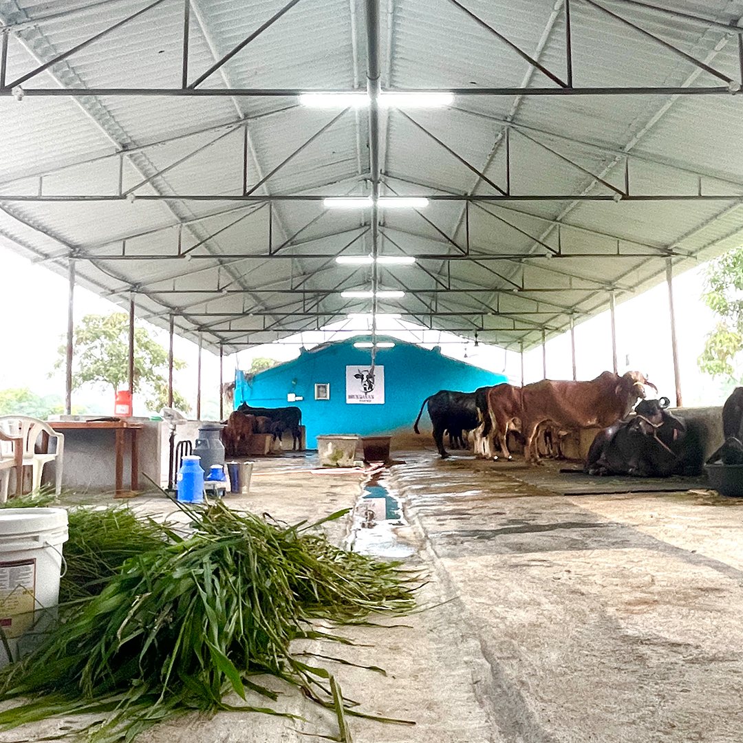 Inside the Shelter
